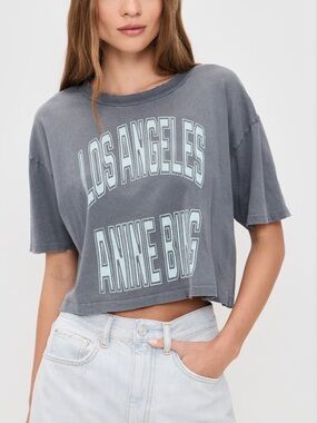 Anine Bing Gray Cropped Tee NWT